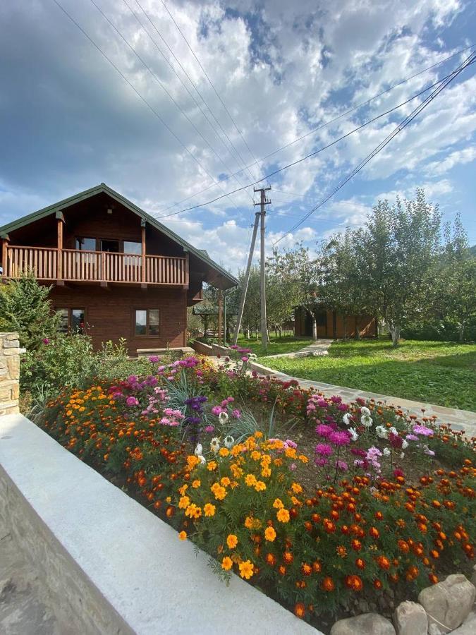 Анничка Villa Khorotseve Eksteriør billede