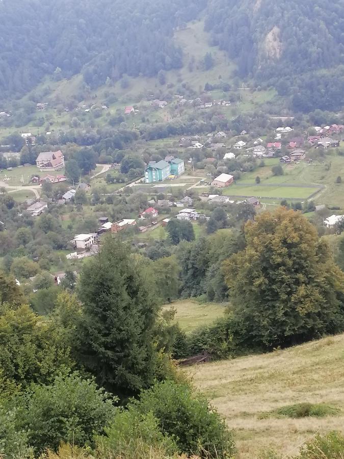 Анничка Villa Khorotseve Eksteriør billede
