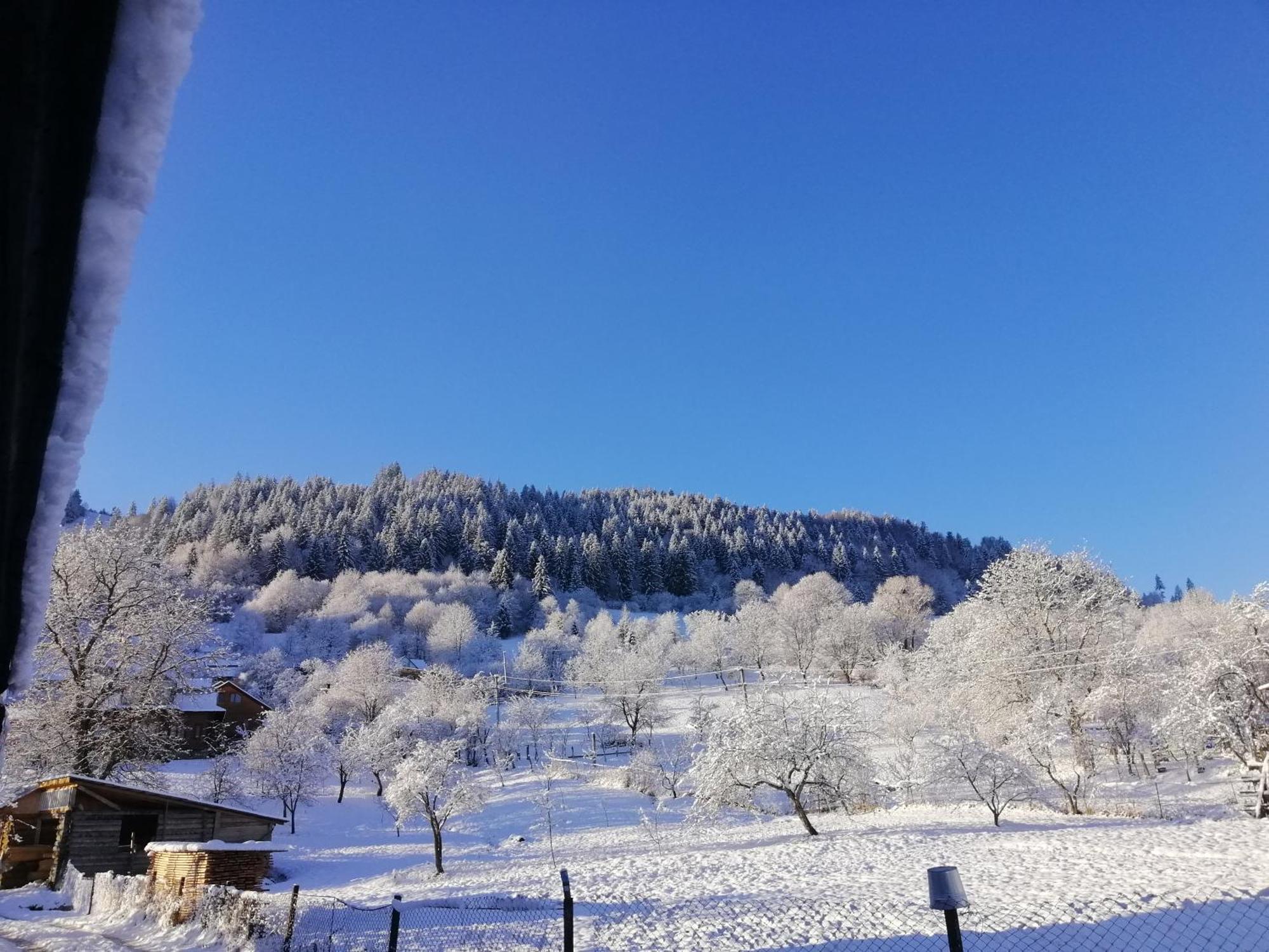 Анничка Villa Khorotseve Eksteriør billede